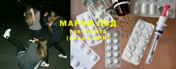 PSILOCYBIN Баксан