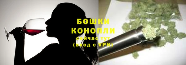 PSILOCYBIN Баксан