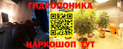 дмт Краснознаменск