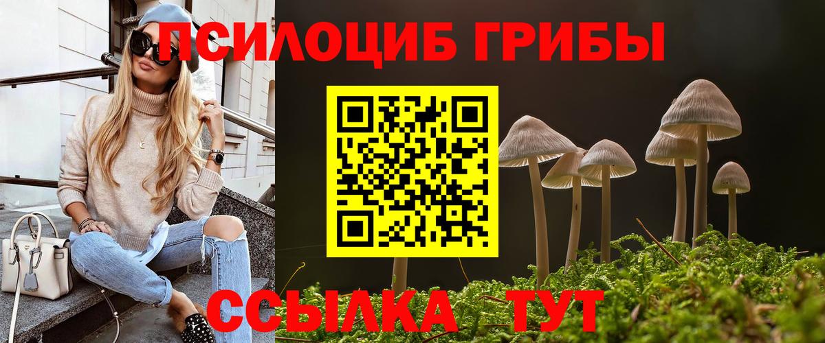 наркота  Псилоцибиновые грибы GOLDEN TEACHER  Вход с VPN  Краснокаменск 